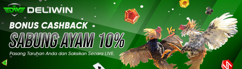 BONUS CASHBACK SABUNG AYAM